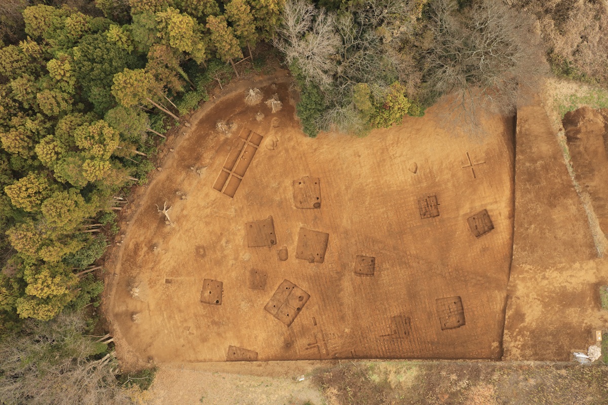 調査区全景(鉛直)